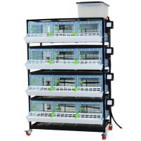 Брудер для цыплят CB25 3 секции, 4 яруса, пластиковый