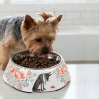 Миска со съемной чашей из нержавейки для собак и кошек, 180 мл, собака