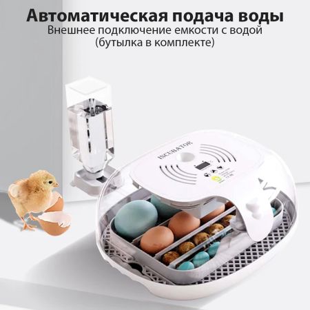 Инкубатор HHD 16 Wonegg мини автоматический с овоскопом на 16 яиц
