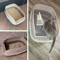 Лоток для кошек XL с совком Catidea 63х45х25 см, коричневый