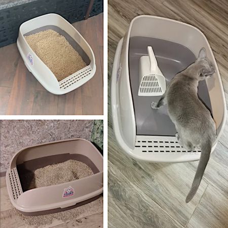 Лоток для кошек XL с совком Catidea 63х45х25 см, коричневый Лоток для кошек XL с совком Catidea 63х45х25 см, коричневый