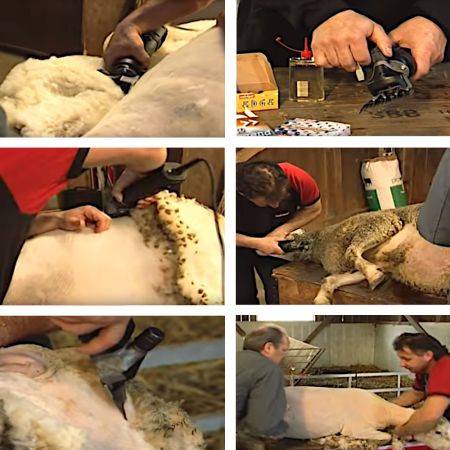 Машинка Heiniger Xtra для стрижки овец и коз