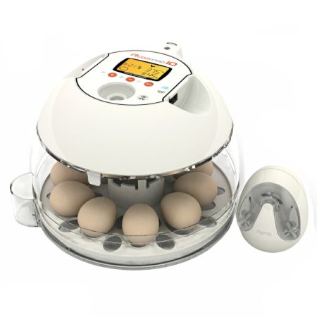 Инкубатор Rcom 10 PRO Plus с овоскопом и помпой, автоматический для яиц
