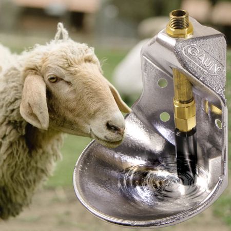 Поилка чашечная автоматическая для овец, металл