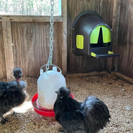 Гнездо для кур MyCozyNest пластиковое