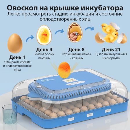 Инкубатор HHD 70H автоматический на 70 яиц, с контролем влажности и овоскопом на 220В/12В от сети и аккумулятора
