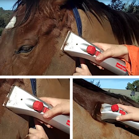 Машинка Heiniger Delta 3 для стрижки лошадей и КРС лезвия 21/23