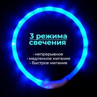 Ошейник светящийся светодиодный для собак с USB зарядкой 50 см, синий