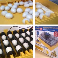 Инкубатор Brinsea Ovation EX 56 автоматический для яиц Инкубатор Brinsea Ovation EX 56 автоматический для яиц