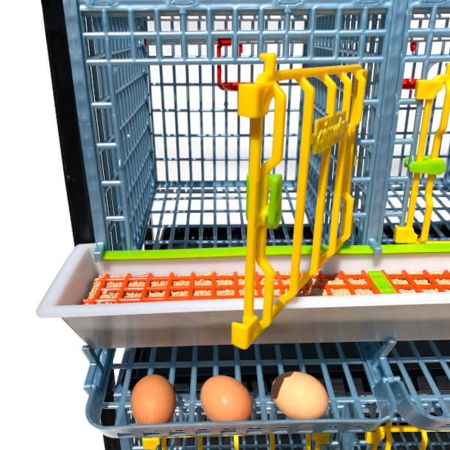 Клетка Comfortplast для кур-несушек 3 секции, 1 ярус высотой 40 см, пластиковая Клетка Comfortplast для кур-несушек 3 секции, 1 ярус высотой 40 см, пластиковая
