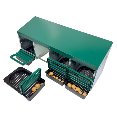 Гнездо для кур несушек HobbyFarm 4 секции с яйцесборником