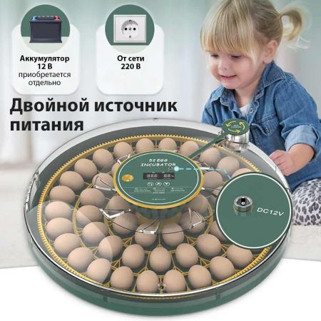Инкубатор HHD 52H WONEGG автоматический 220В/12В от сети и аккумулятора, с овоскопом на 52 яйца