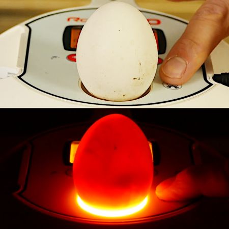 Инкубатор Rcom 10 PRO Plus с овоскопом и помпой, автоматический для яиц