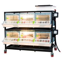 Брудер для цыплят CB25 3 секции, 2 яруса, пластиковый