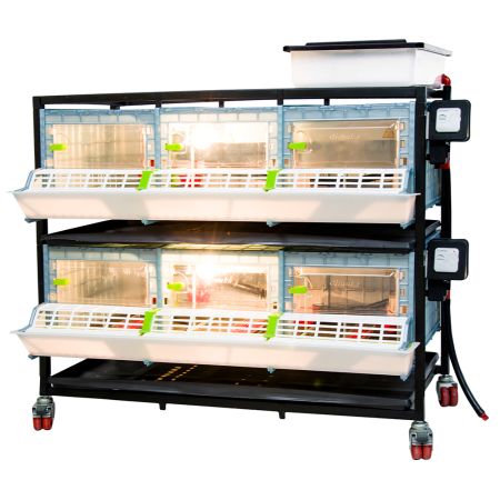 Брудер для цыплят CB25 3 секции, 2 яруса, пластиковый