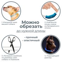 Ошейник светящийся светодиодный для собак с USB зарядкой 55 см, прозрачный с синим 