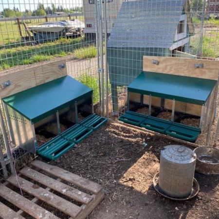 Гнездо для кур несушек HobbyFarm 2 секции с яйцесборником Гнездо для кур несушек HobbyFarm 2 секции с яйцесборником