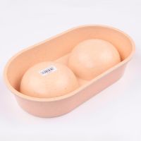 Миска двойная, 26.5x15х5.5 см, 290+290 мл, бежевый Миска двойная, 26.5x15х5.5 см, 290+290 мл, бежевый