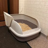 Лоток для кошек XL с совком Catidea 63х45х25 см, коричневый