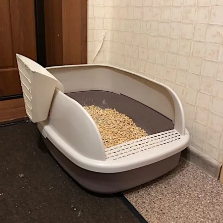 Лоток для кошек XL с совком Catidea 63х45х25 см, коричневый Лоток для кошек XL с совком Catidea 63х45х25 см, коричневый