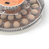 Инкубатор HHD 30H WONEGG автоматический с овоскопом на 30 яиц