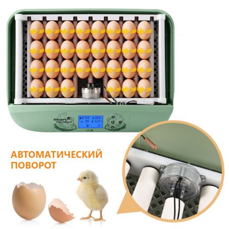 Инкубатор HHD 32 Wonegg автоматический для яиц с роликовым лотком, зеленый, на 32 яйца Инкубатор HHD 32 Wonegg автоматический для яиц с роликовым лотком, зеленый, на 32 яйца
