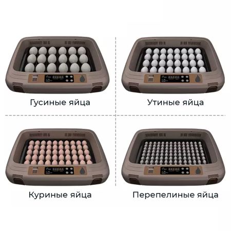 Инкубатор HHD 50 автоматический c универсальным поддоном для куриных, перепелиных, утиных, гусиных яиц Инкубатор HHD 50 автоматический c универсальным поддоном для куриных, перепелиных, утиных, гусиных яиц