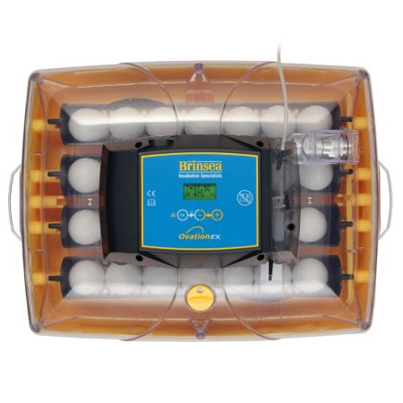 Инкубатор Brinsea Ovation EX 28 автоматический для яиц