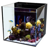 Аквариум Boyu Marine HA-450A морской 80 л с задним сампом, черный