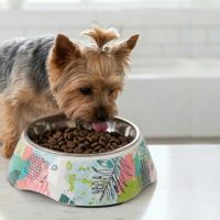 Миска со съемной чашей из нержавейки для собак и кошек, 180 мл, абстракция