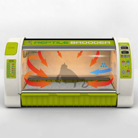 Брудер Rcom Reptile brooder 90 для рептилий L