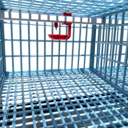 Клетка Comfortplast для перепелов с яйцесборником 3 секции, 98x61x59 см, пластиковая