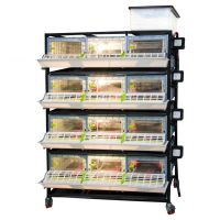 Брудер для цыплят CB25 3 секции, 4 яруса, пластиковый