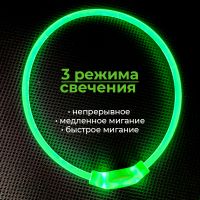 Ошейник светящийся светодиодный для собак с USB зарядкой 70 см, прозрачный с зеленым