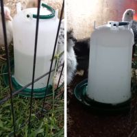 Поилка вакуумная 3 л, комплект 2 шт.