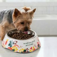 Миска со съемной чашей из нержавейки для собак и кошек, 180 мл, цветы