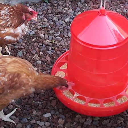 Кормушка бункерная 16 кг пластик с решеткой с круглыми отверстиями на ножках