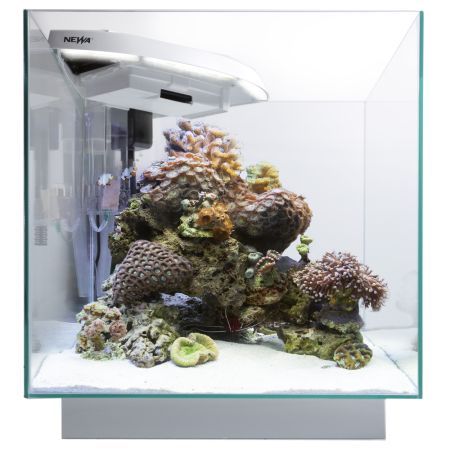 Аквариум Newa More reef NMO 30RW Daylight LED, 28 л, с фильтром, скиммером, нагревателем и освещением рассвет-закат, белый NEW VERSION