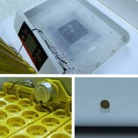 Инкубатор HHD 42 автоматический с овоскопом на 42 яйца