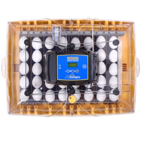 Инкубатор Brinsea Ovation 56 Zoologica