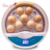 Инкубатор HHD 9 мини автоматический с овоскопом на 9 яиц