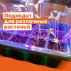 Мини парник с подсветкой HobbyFarm, 12 ячеек, набор кассет для рассады, 5 шт.