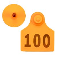 Бирка двойная 40х50 мм с номером, оранжевая, 100 шт. для КРС, верблюдов, оленей Бирка двойная 40х50 мм с номером, оранжевая, 100 шт. для КРС, верблюдов, оленей