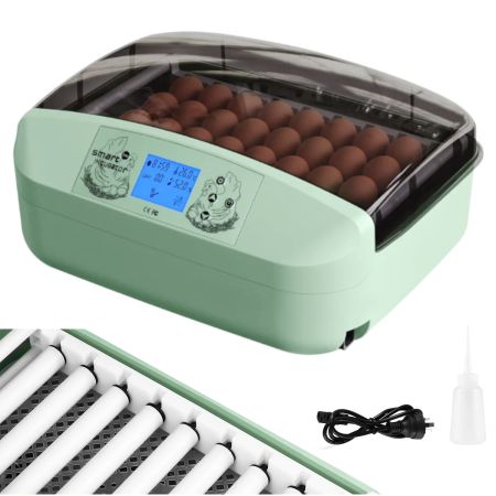 Инкубатор HHD 32 Wonegg автоматический для яиц с роликовым лотком, зеленый, на 32 яйца Инкубатор HHD 32 Wonegg автоматический для яиц с роликовым лотком, зеленый, на 32 яйца