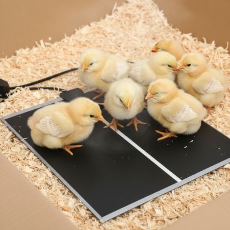 Коврик HobbyFarm 20 Вт 28x42 см для обогрева цыплят, рептилий и рассады с терморегулятором