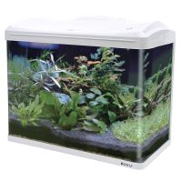 Аквариум с тумбой Boyu EC-600 панорамный, 66 л, с фильтром и LED-лампой, белый