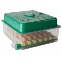 Инкубатор для яиц автоматический Des Champs ECO PROFI C-36 от сети и аккумулятора с роликовым лотком и овоскопом на 36 яиц