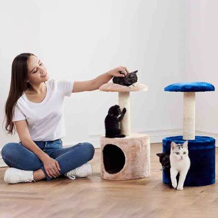 Когтеточка-домик для котят Pet Choice, 26х26х50 см, темно-синий