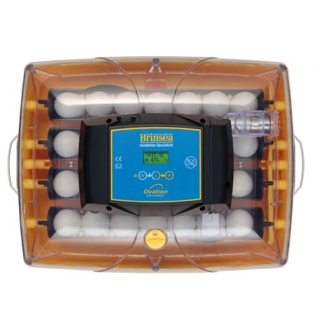 Инкубатор Brinsea Ovation Advance 28 автоматический для яиц