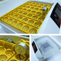 Инкубатор HHD 42A автоматический на 42 яйца